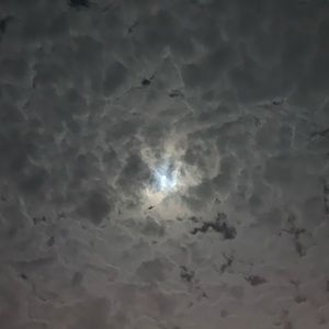 Meet your Posher, Jonah